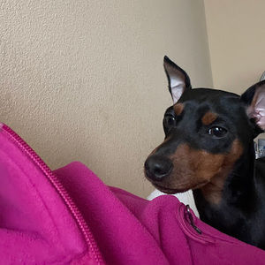 Meet your Posher, Arianna